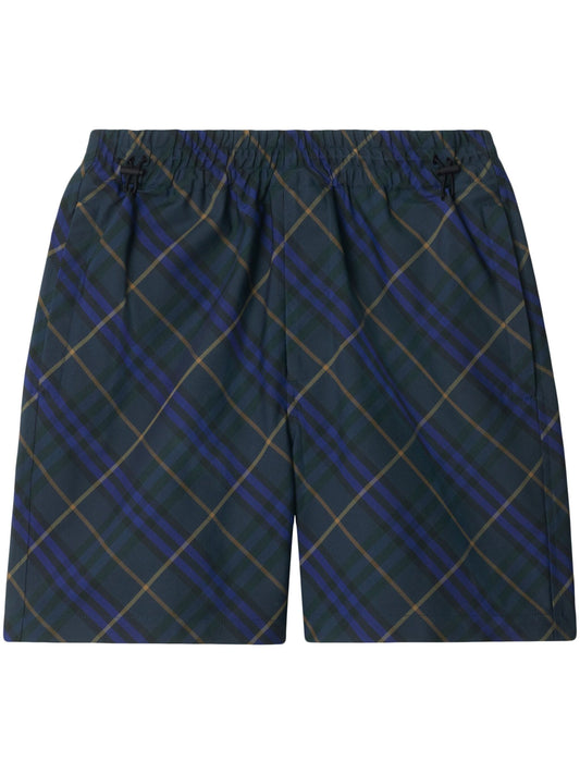 Burberry Shorts Blue 8100860C1852