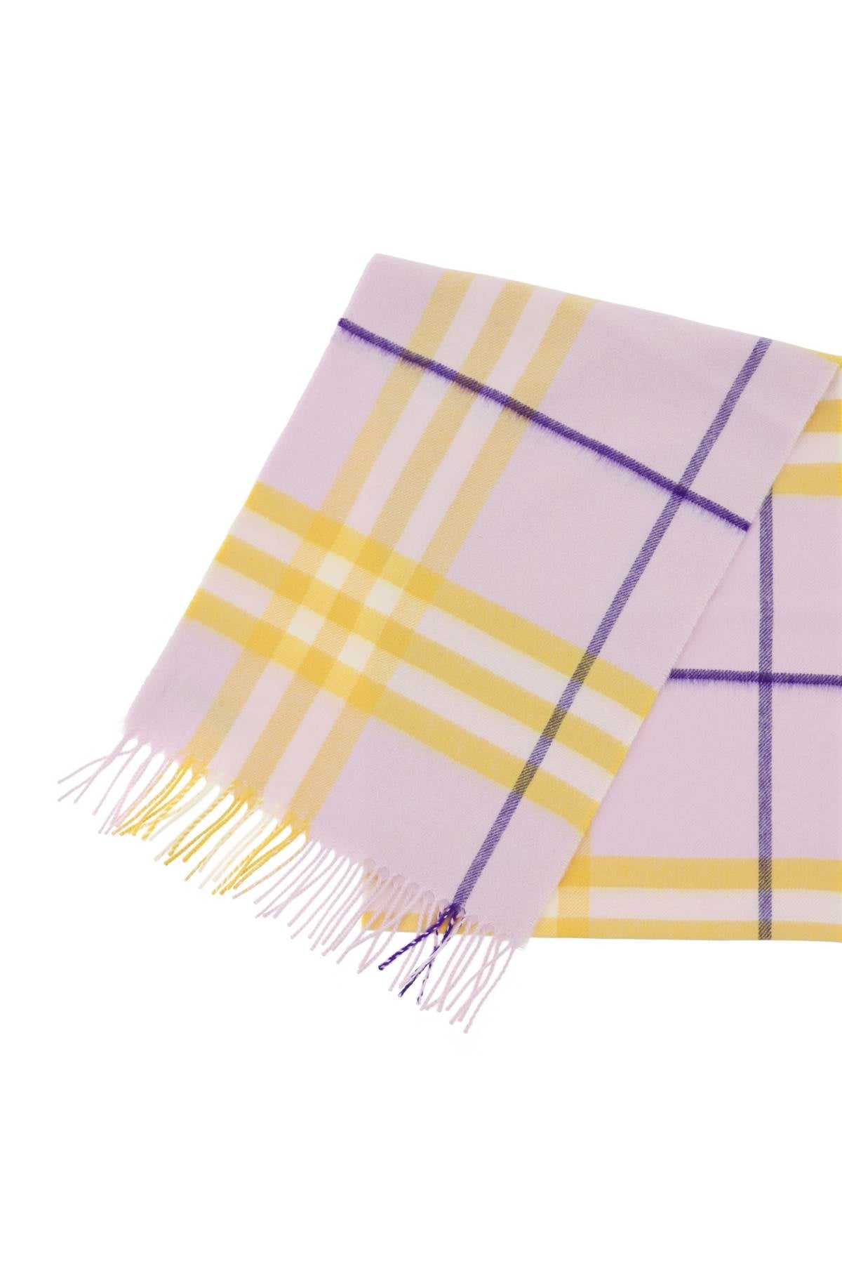 Burberry Scarf multicolor 8079556B7312