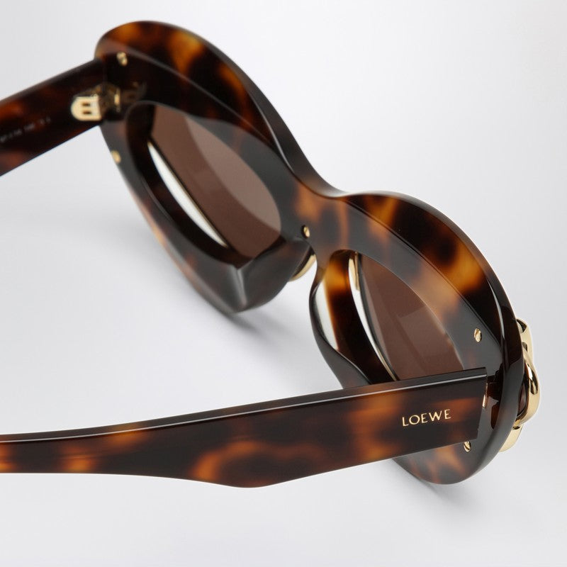 LOEWE Cat-eye sunglasses in havana acetate and metal LW40119IPVCQ_LOEW-6752E