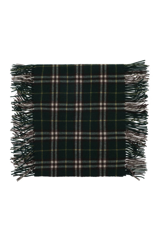 Burberry Scarf green 8079993B8636