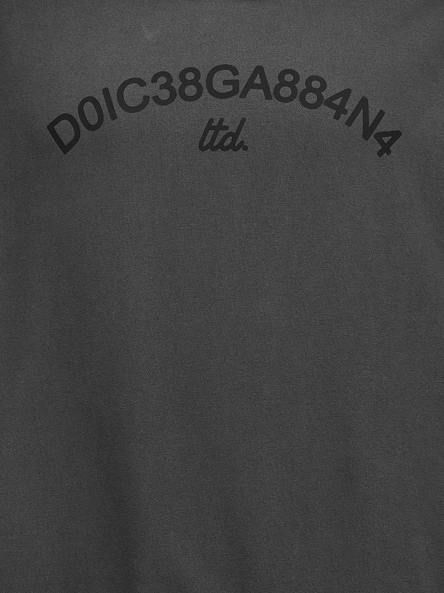 Dolce & Gabbana Sweatshirt grey G9AYQTG7M8EN9299