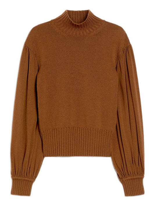 Max Mara Sweaters Brown 2511361181600005